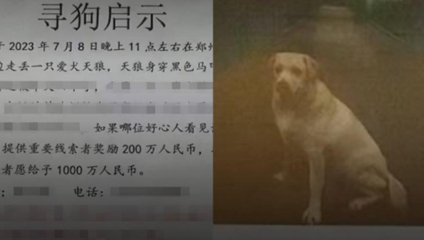 宝格丽中国：尊重中国主权和领土完整的立场，一如既往，坚定不移