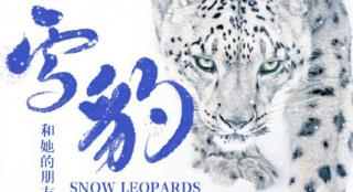 电影《雪豹和她的朋友们》7.22开启8城超前点映