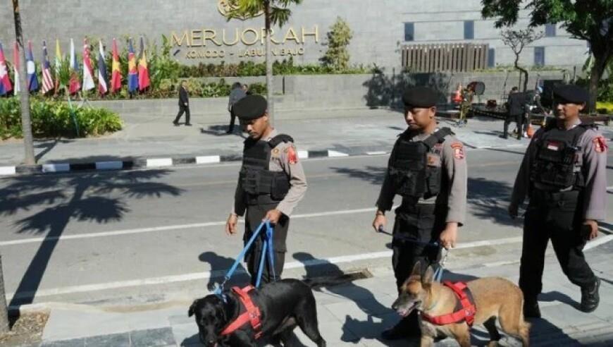 国常会发话！超大特大城市“挑大梁”，城中村改造或促进房地产回暖