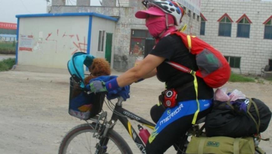 被骗去缅甸的人在经历什么？有人大小儿子先后被骗，4根肋骨被打骨折