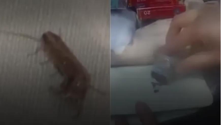 65岁阿姨6年骑行14国：丈夫出轨离婚曾严重抑郁，骑行后治愈