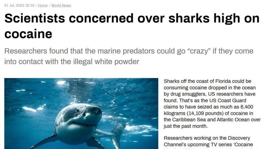 “大家都在赌”：453分捡漏上广州大学，校方“措手不及”