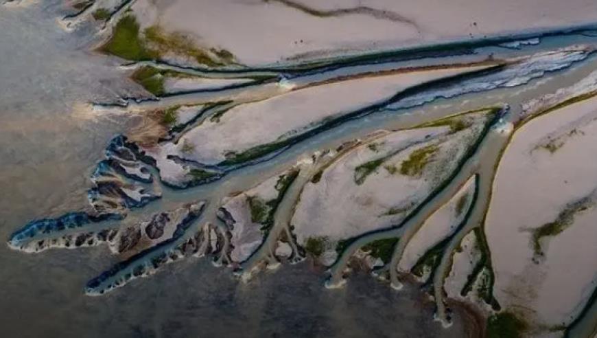 导游威胁游客“不买就下车”，低价团乱象何解？