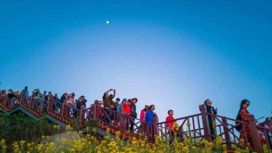 41℃高温下，被抢爆的藿香正气背后！