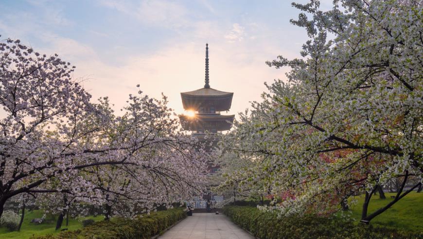 俄罗斯总统普京签署法律 将士兵服预备役年龄上限提高至55岁