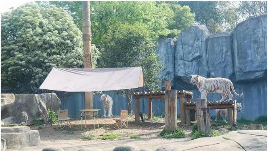 十四届全国人大常委会举行第四次会议 审议刑法修正案（十二）草案 决定任命王毅为外交部部长、潘功胜为中国人民银行行长 习近平签署主席令 赵乐际主持