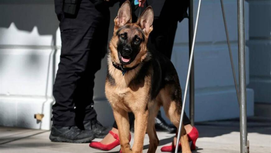 揭秘真实的梅西：他的眼里只有钱吗？