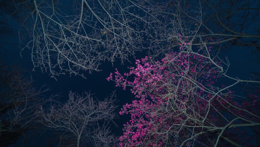 柬埔寨首相洪森宣布辞职