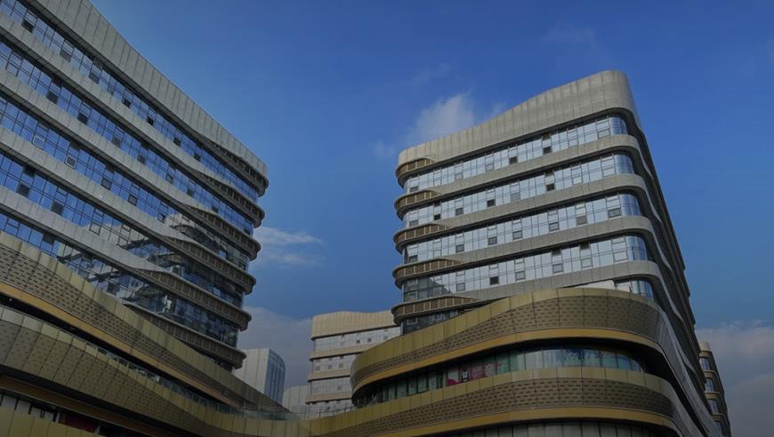 旅法大熊猫“圆梦”回国前催泪画面：法国粉丝夹道相送，第一夫人机场送别