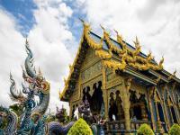 为什么大家都不愿意去泰国旅游了,究竟是怎么一回事?