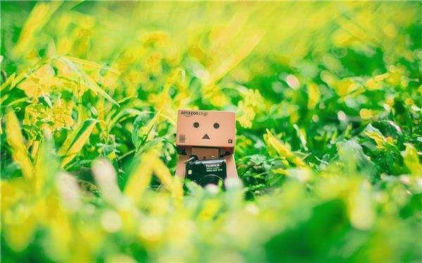 沈蓓一宁少辰全文免费阅读无弹窗450章 沈蓓一宁少辰隐面佳人小说全文免费阅读