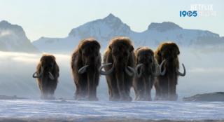 斯皮尔伯格监制纪录片发布预告 摩根·弗里曼旁白